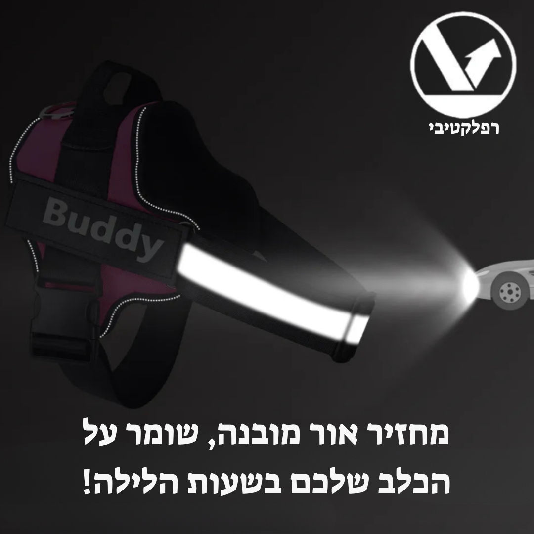 רתמה בהתאמה אישית