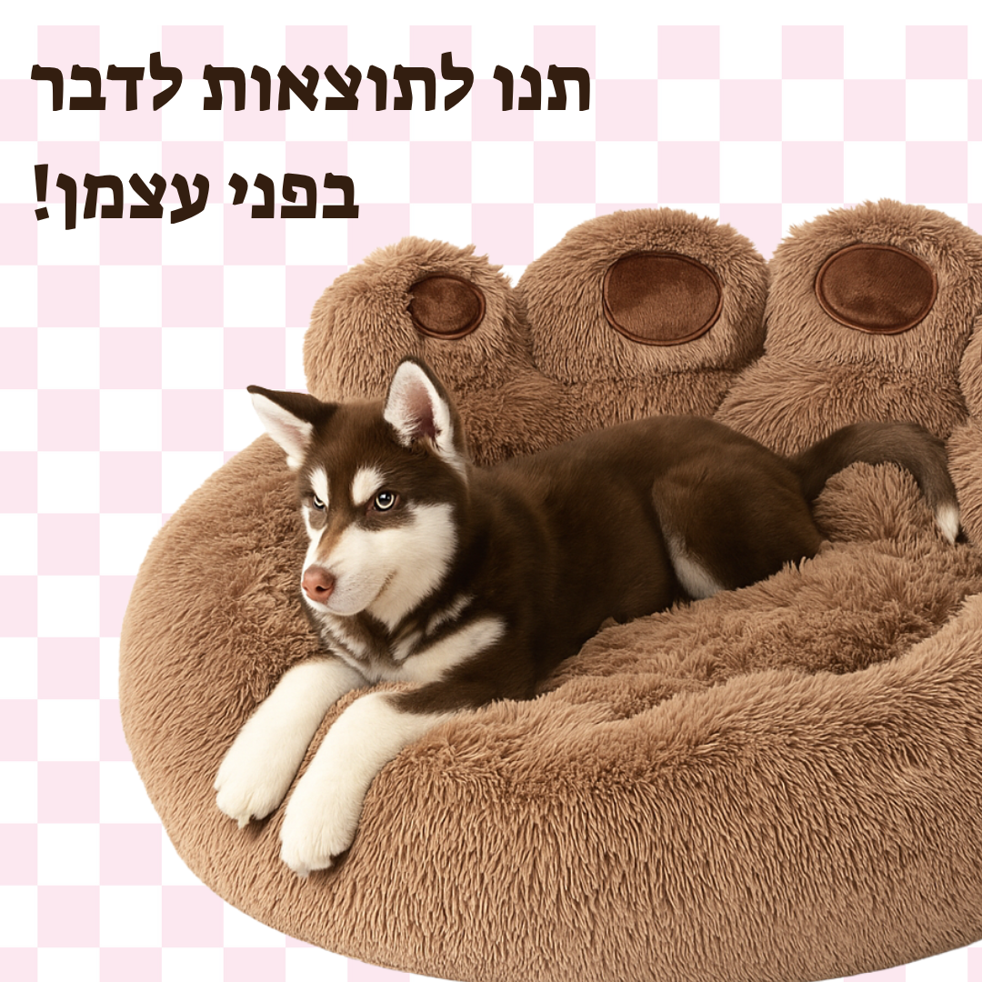 מיטת כף רגל