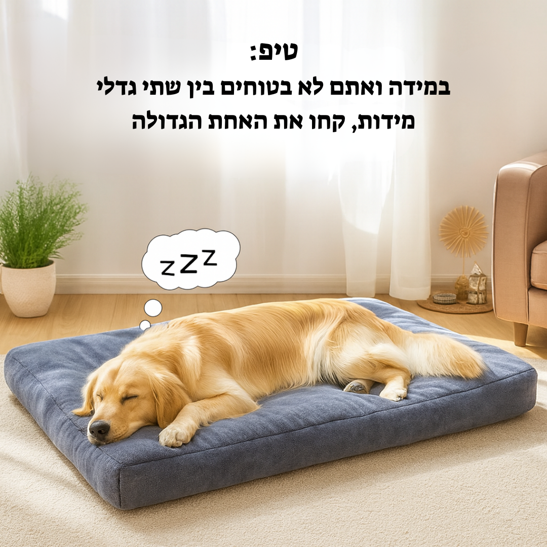 כרית שינה לכלב