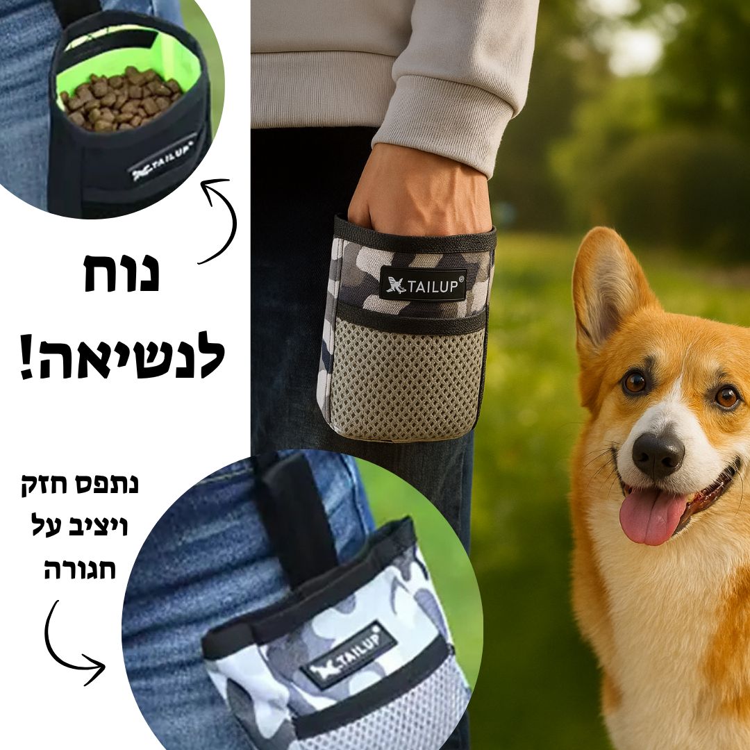 פאוץ אילוף