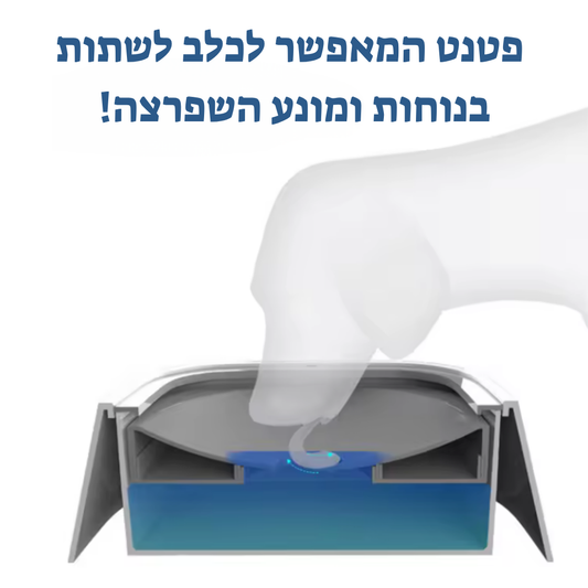 קערת שתייה