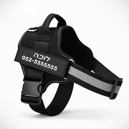 רתמה בהתאמה אישית