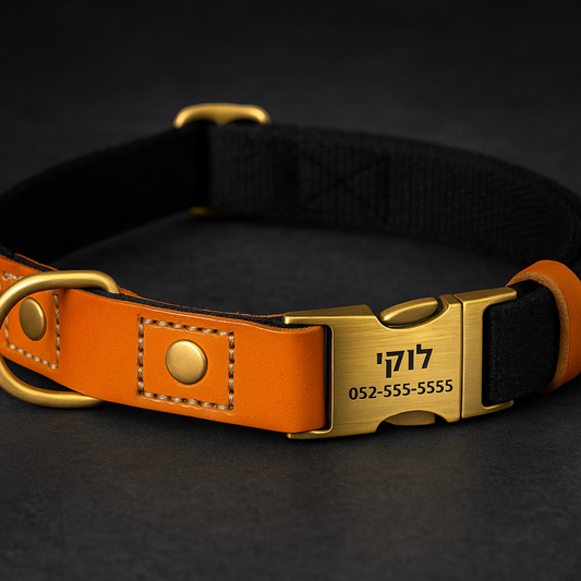 קולר עם חריטה אישית™