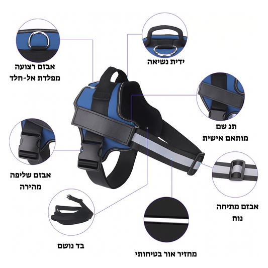 רתמה בהתאמה אישית