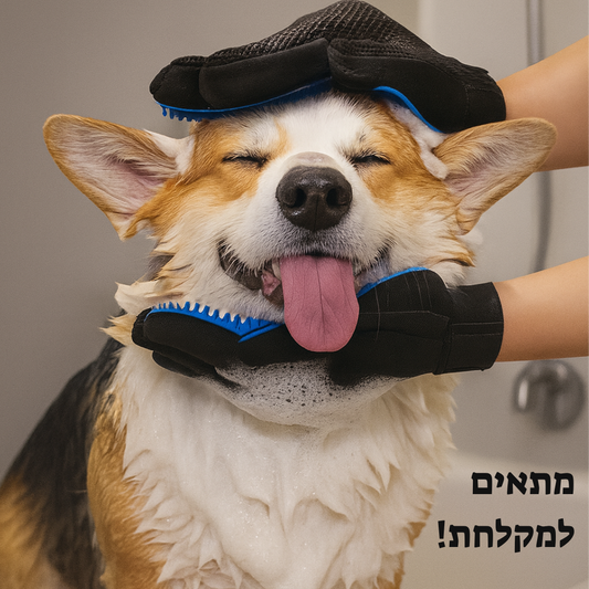כפפה לניקוי וסירוק