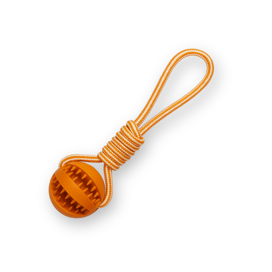 צעצוע נשיכה