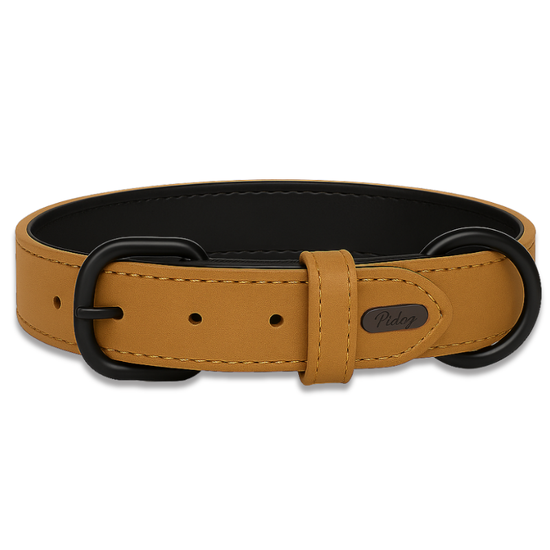 קולר בהתאמה אישית | DO_IT_YOURSELF