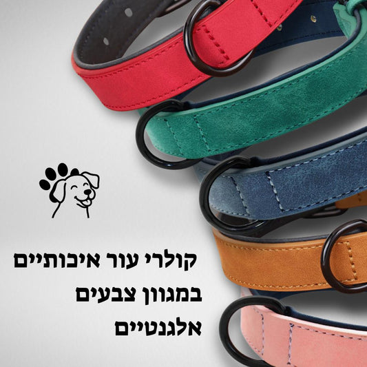 קולר בהתאמה אישית | DO_IT_YOURSELF