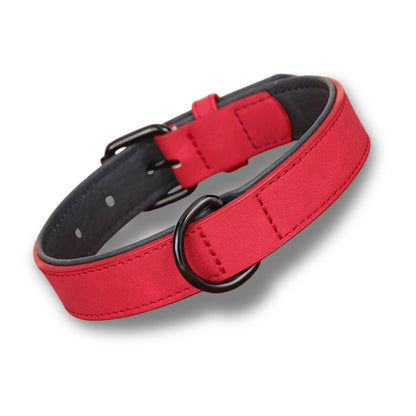 קולר בהתאמה אישית | DO_IT_YOURSELF