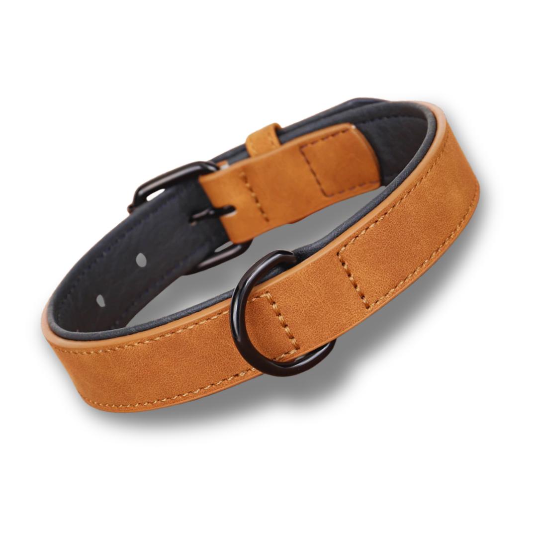 קולר בהתאמה אישית | DO_IT_YOURSELF