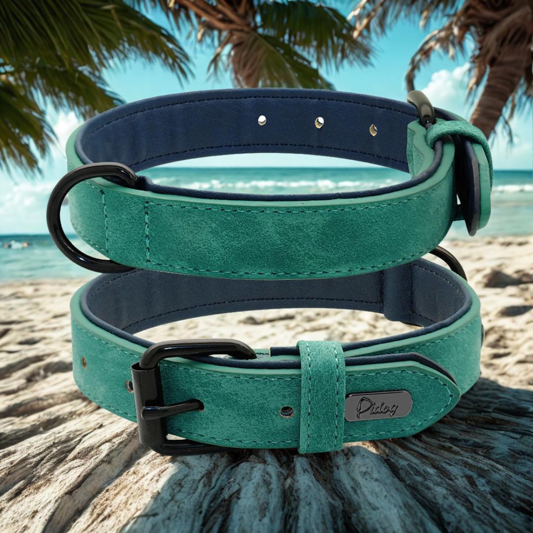 קולר בהתאמה אישית | DO_IT_YOURSELF